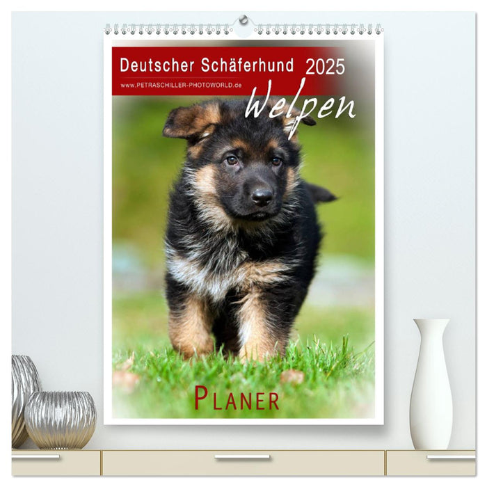 Deutscher Schäferhund - Welpen, Planer (CALVENDO Premium Wandkalender 2025)