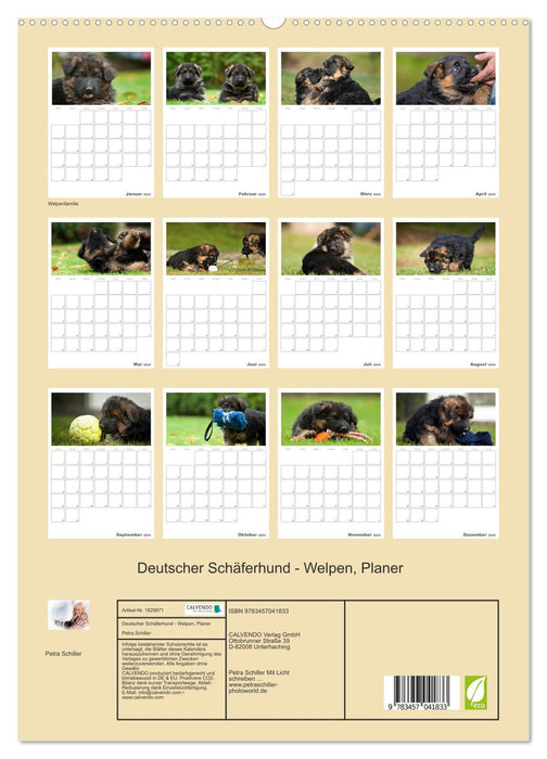 Deutscher Schäferhund - Welpen, Planer (CALVENDO Premium Wandkalender 2025)