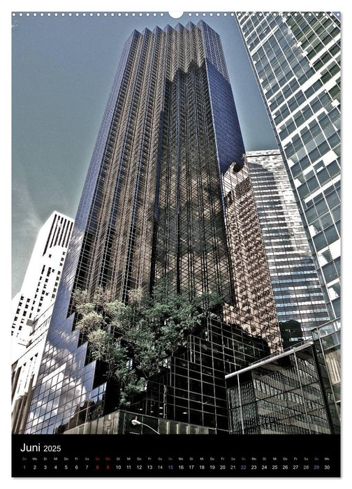 New York City 2025 • Classic Views (CALVENDO Premium Wandkalender 2025)