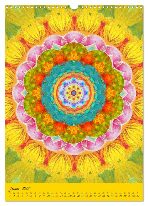 MANDALAS der Natur (CALVENDO Wandkalender 2025)