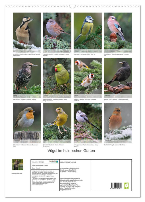 Vögel im heimischen Garten (CALVENDO Wandkalender 2025)