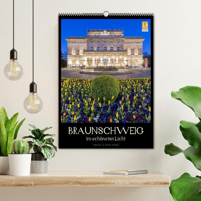 Braunschweig im schönsten Licht (CALVENDO Wandkalender 2025)