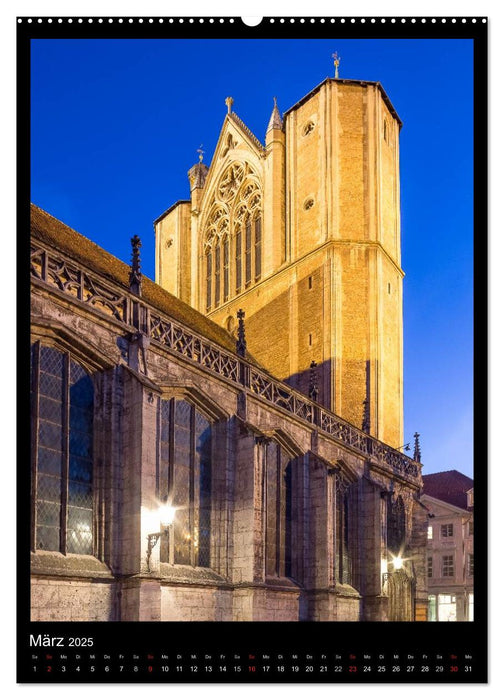 Braunschweig im schönsten Licht (CALVENDO Wandkalender 2025)