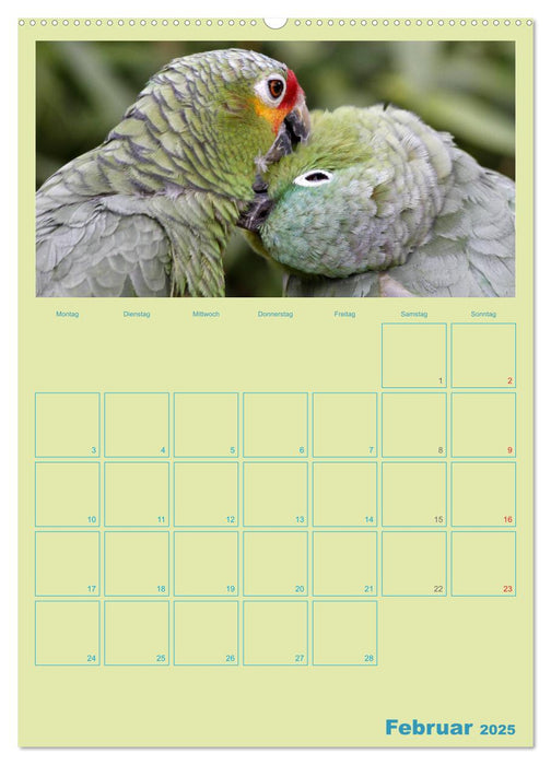 Vogelfreundschaften / Planer (CALVENDO Premium Wandkalender 2025)