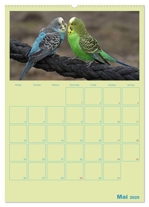 Vogelfreundschaften / Planer (CALVENDO Premium Wandkalender 2025)