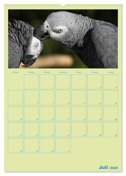 Vogelfreundschaften / Planer (CALVENDO Premium Wandkalender 2025)