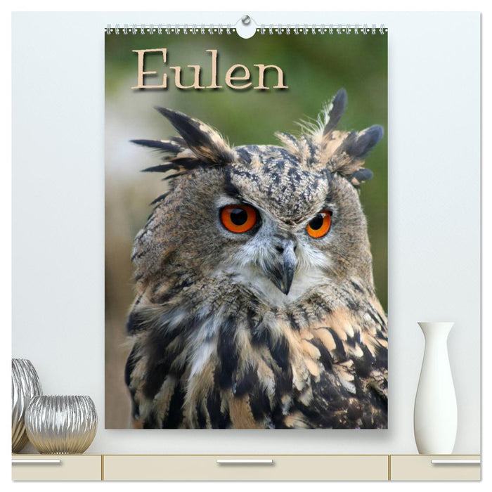 Eulen (CALVENDO Premium Wandkalender 2025)