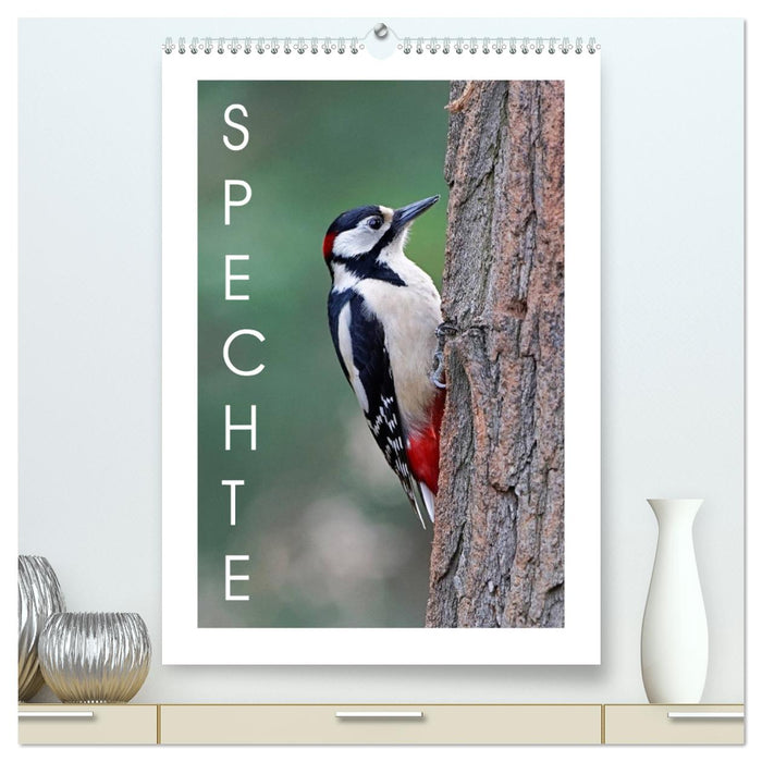 Spechte (CALVENDO Premium Wandkalender 2025)