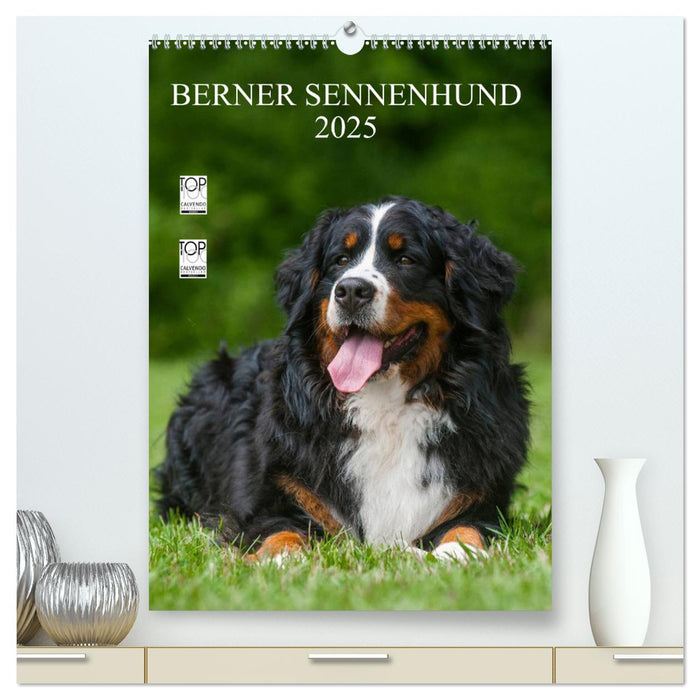 Berner Sennenhund 2025 (CALVENDO Premium Wandkalender 2025)