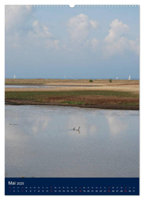 maritimes Schleswig-Holstein (CALVENDO Premium Wandkalender 2025)