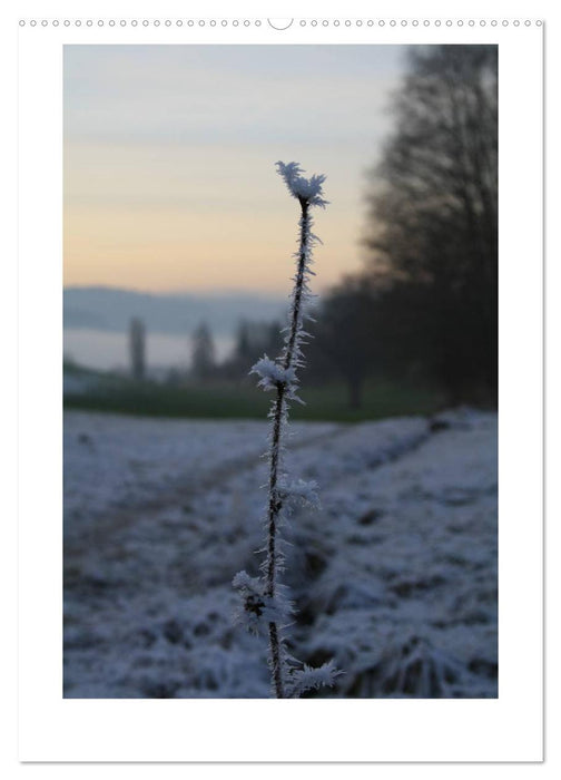 mystische Schweiz (CALVENDO Premium Wandkalender 2025)