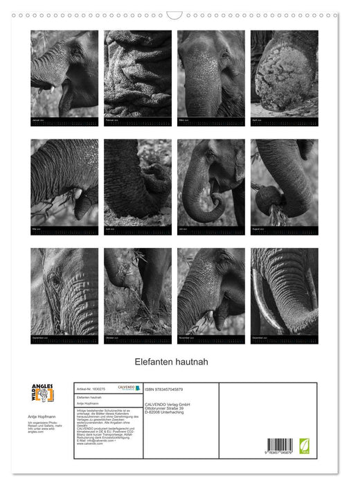 Elefanten hautnah (CALVENDO Wandkalender 2025)