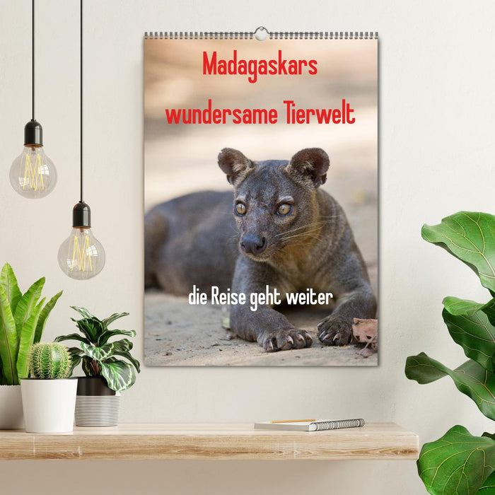 Madagaskars wundersame Tierwelt - die Reise geht weiter (CALVENDO Wandkalender 2025)