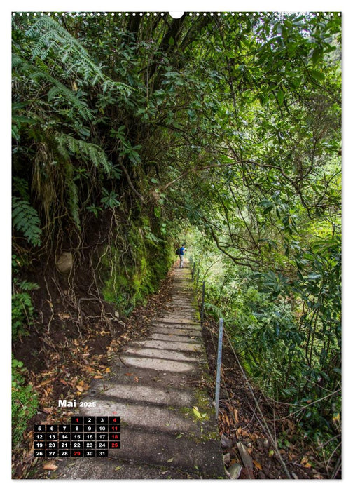 Levadas - Wasserwege auf Madeira (CALVENDO Wandkalender 2025)