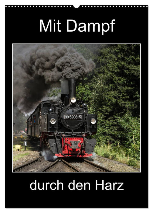 Mit Dampf durch den Harz (CALVENDO Wandkalender 2025)