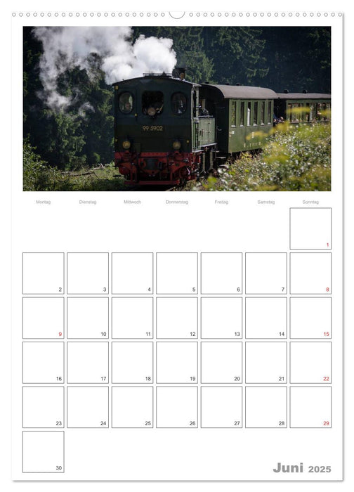 Mit Dampf durch den Harz (CALVENDO Wandkalender 2025)