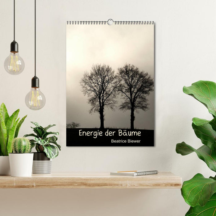 Energie der Bäume (CALVENDO Wandkalender 2025)