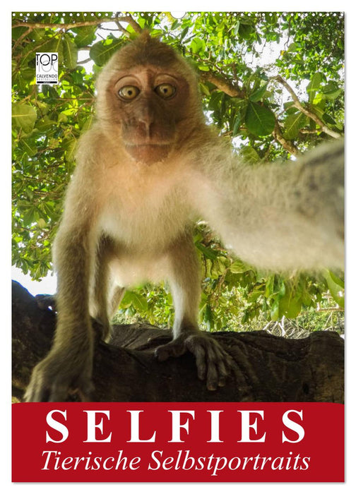 Selfies. Tierische Selbstportraits (CALVENDO Wandkalender 2025)