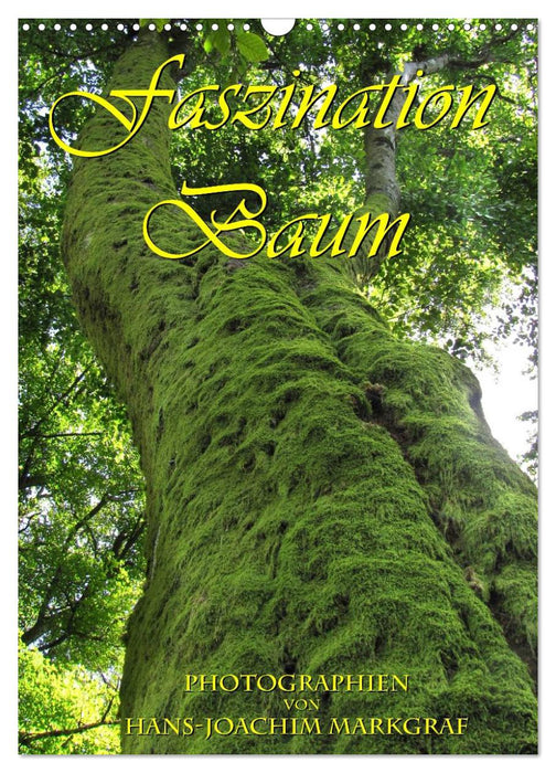 Faszination Baum (CALVENDO Wandkalender 2025)