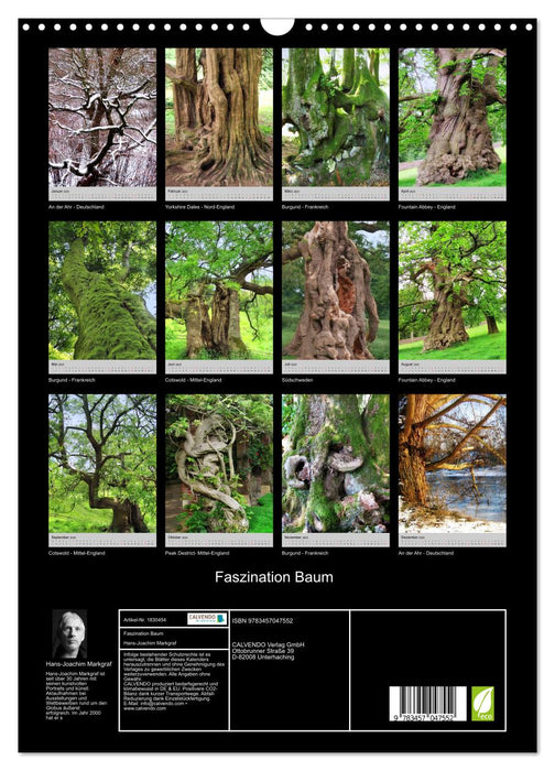 Faszination Baum (CALVENDO Wandkalender 2025)