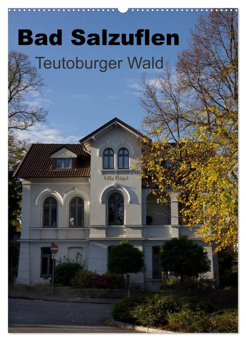 Bad Salzuflen - Teutoburger Wald (CALVENDO Wandkalender 2025)