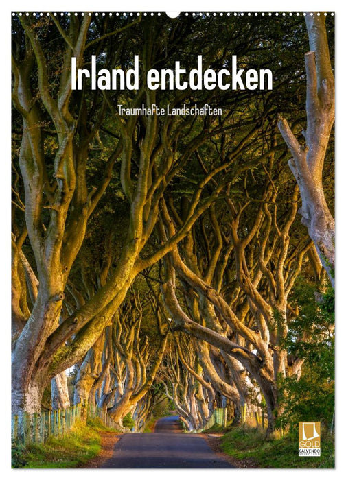 Irland entdecken (CALVENDO Wandkalender 2025)