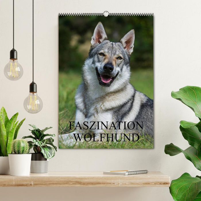 Faszination Wolfhund (CALVENDO Wandkalender 2025)