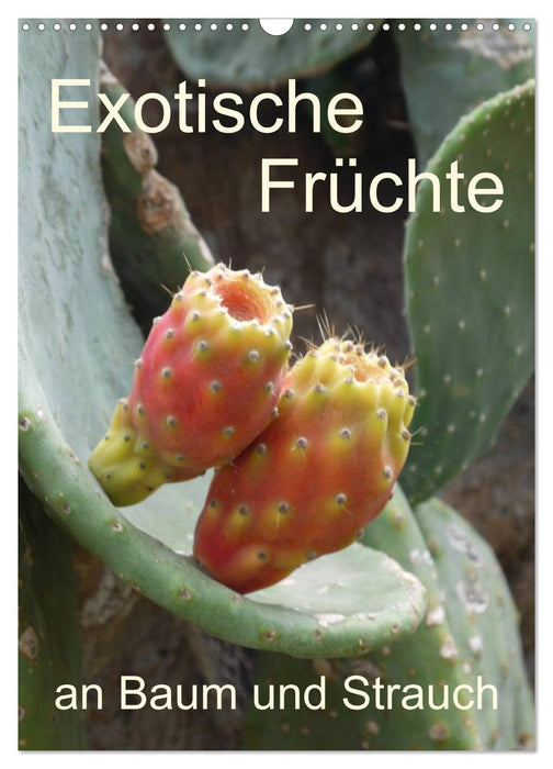 Exotische Früchte an Baum und Strauch (CALVENDO Wandkalender 2025)