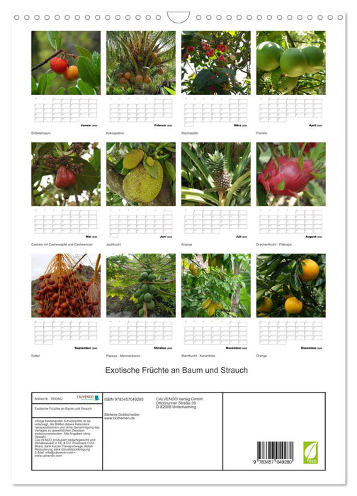 Exotische Früchte an Baum und Strauch (CALVENDO Wandkalender 2025)