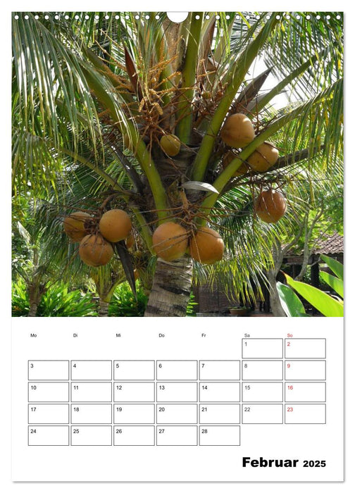 Exotische Früchte an Baum und Strauch (CALVENDO Wandkalender 2025)