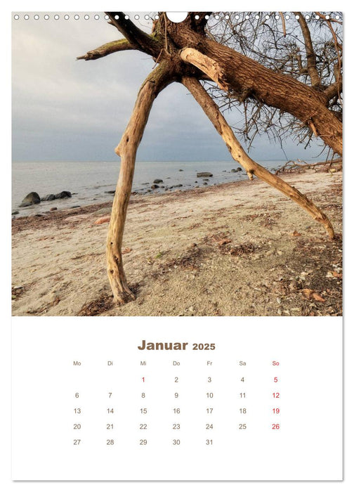 OstseeBegegnungen (CALVENDO Wandkalender 2025)