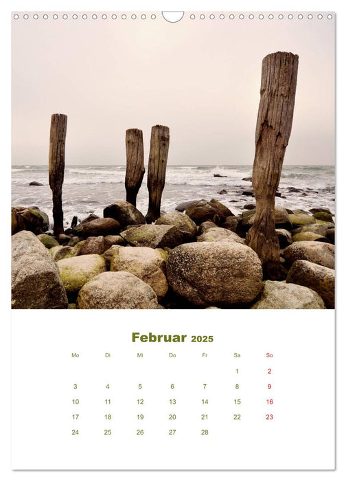 OstseeBegegnungen (CALVENDO Wandkalender 2025)