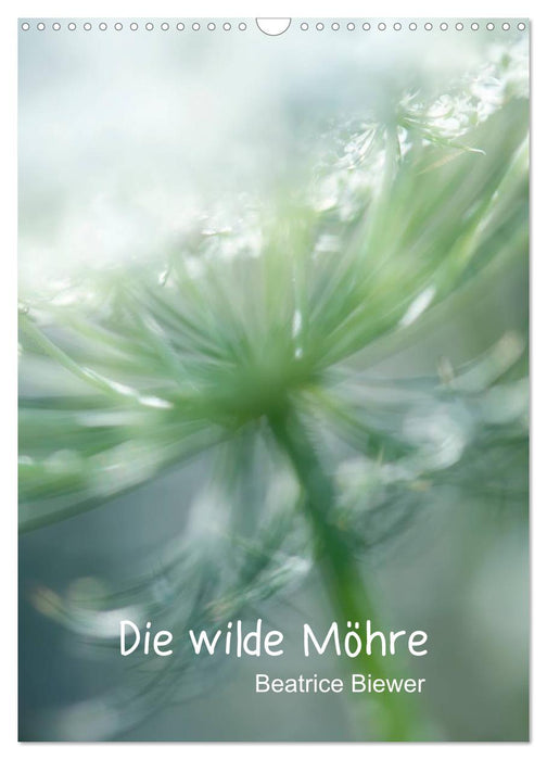 Die wilde Möhre (CALVENDO Wandkalender 2025)