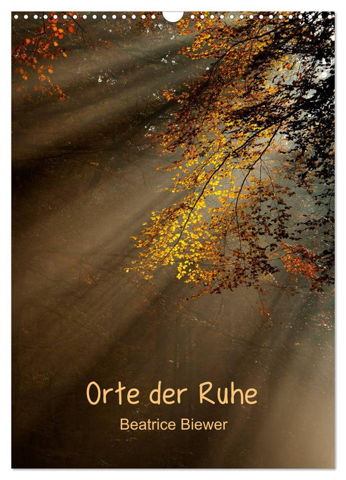 Orte der Ruhe (CALVENDO Wandkalender 2025)