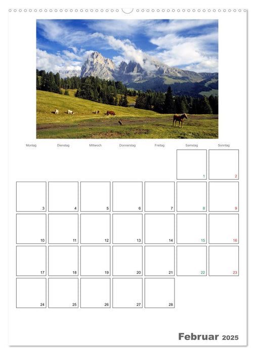 Ein Streifzug durch - Südtirol (CALVENDO Wandkalender 2025)