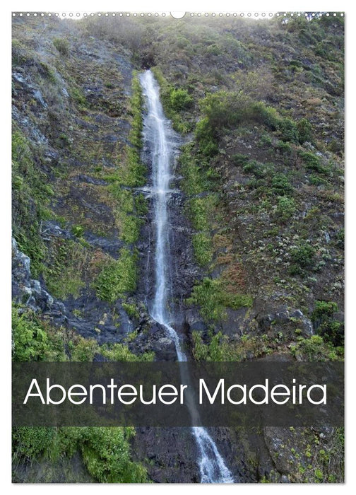 Abenteuer Madeira (CALVENDO Wandkalender 2025)
