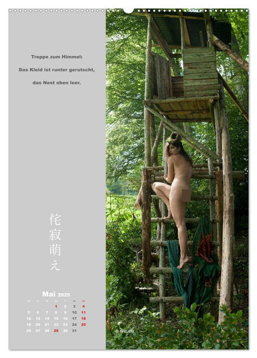wabi sabi moe — bewundernswert vergänglich erotisch — Akt/Bodypainting (CALVENDO Wandkalender 2025)