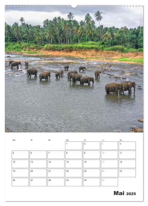 Sri Lanka 2025 - Exotisches Paradies - Jahresplaner (CALVENDO Wandkalender 2025)