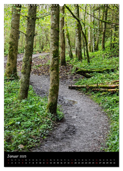 Urlandschaft Wutachschlucht (CALVENDO Wandkalender 2025)