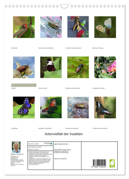 Artenvielfalt der Insekten (CALVENDO Wandkalender 2025)