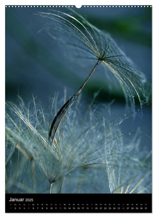 Kunst in der Natur (CALVENDO Wandkalender 2025)