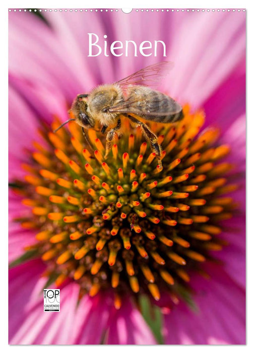 Bienenkalender (CALVENDO Wandkalender 2025)