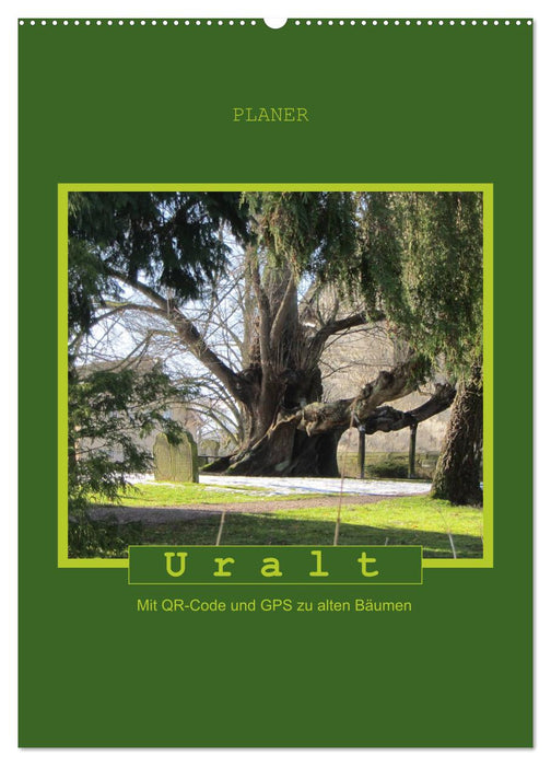 Uralt - Mit QR-Code und GPS zu alten Bäumen (CALVENDO Wandkalender 2025)