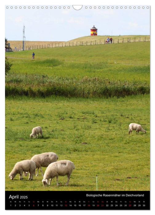 Ostfriesland entdeckt! (CALVENDO Wandkalender 2025)