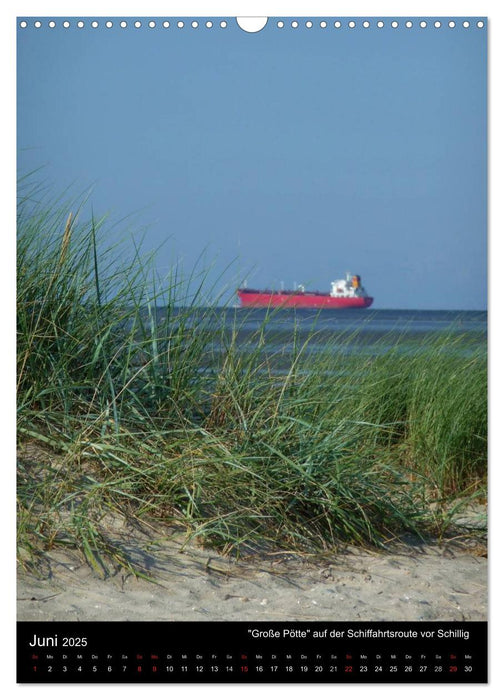 Ostfriesland entdeckt! (CALVENDO Wandkalender 2025)