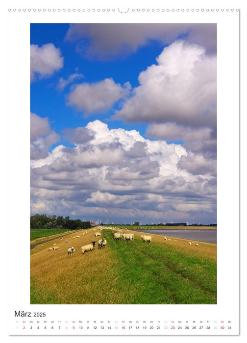 Büsum - Impressionen eines Sommers (CALVENDO Wandkalender 2025)