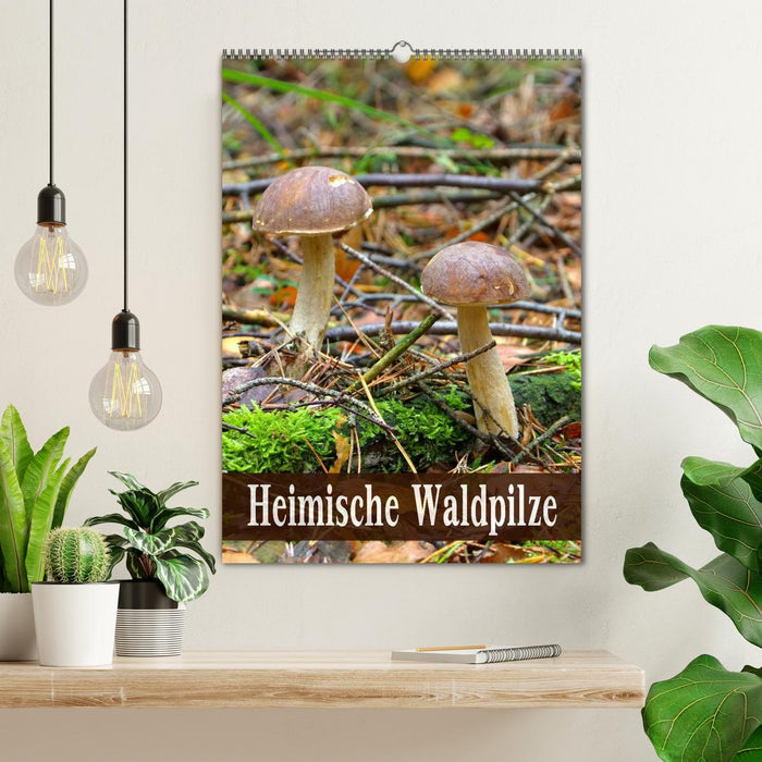 Heimische Waldpilze (CALVENDO Wandkalender 2025)