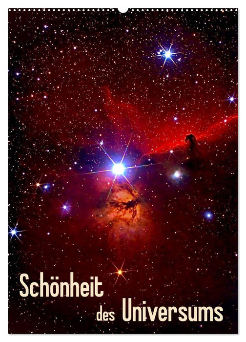 Schönheit des Universums (CALVENDO Wandkalender 2025)