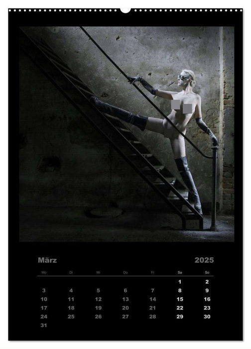 Akt im Sternenstaub EvE fotografiert von Rainer Matthias Gillessen (CALVENDO Wandkalender 2025)