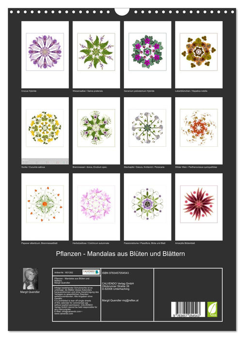 Pflanzen - Mandalas aus Blüten und Blättern (CALVENDO Wandkalender 2025)